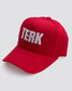 TERK 3D EMBROIDERY LOGO HAT